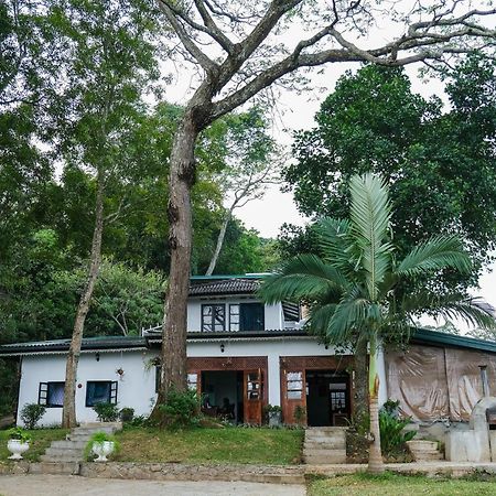 Welikande Yoga Retreats Hotel Digana Ngoại thất bức ảnh