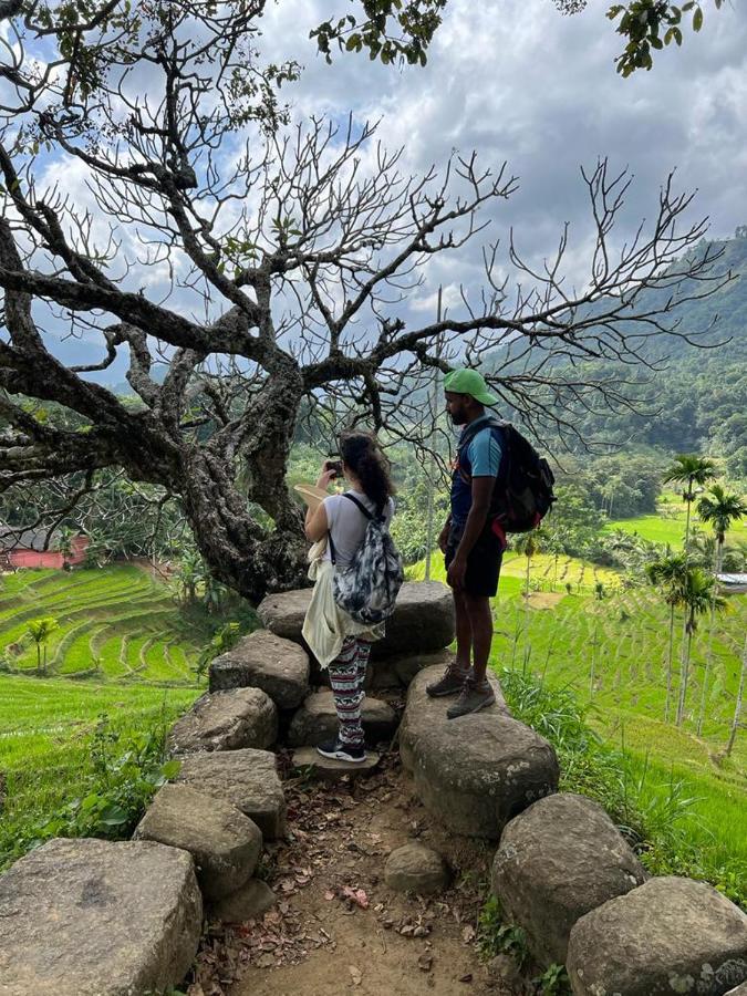 Welikande Yoga Retreats Hotel Digana Ngoại thất bức ảnh