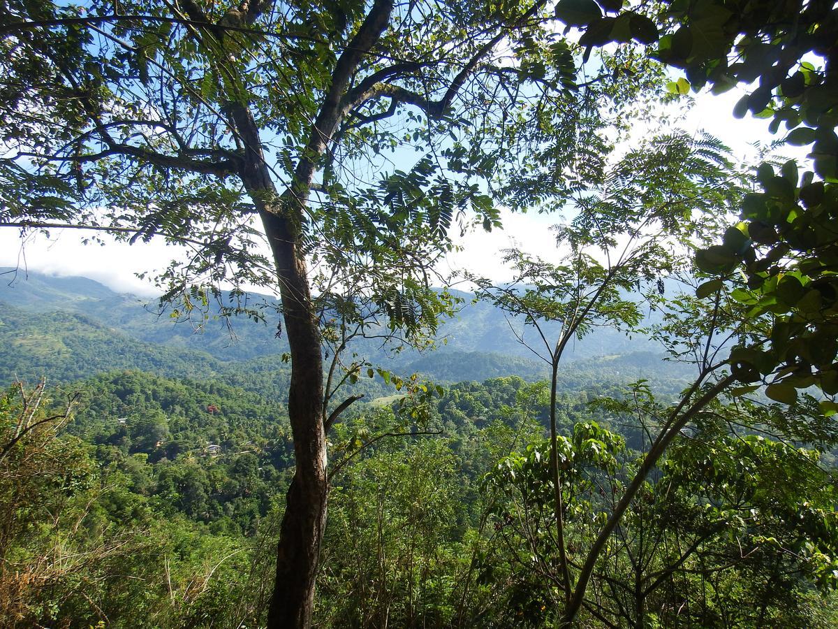 Welikande Yoga Retreats Hotel Digana Ngoại thất bức ảnh