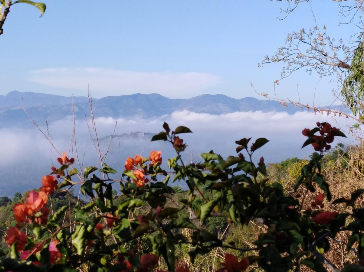 Welikande Yoga Retreats Hotel Digana Ngoại thất bức ảnh